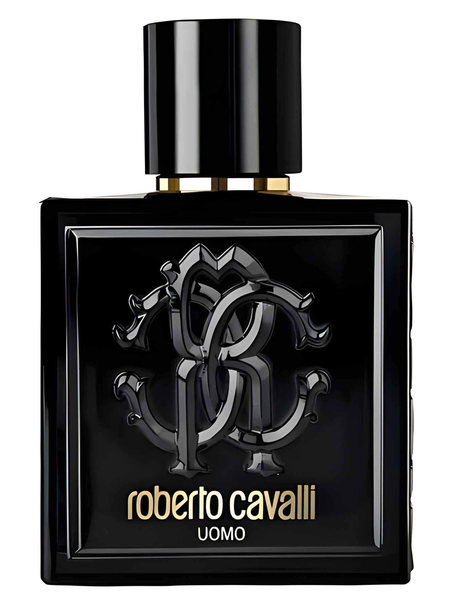 Roberto Cavalli - Uomo